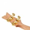 Ortega RUAR-BI Art Series Birds ukulele koncertowe 